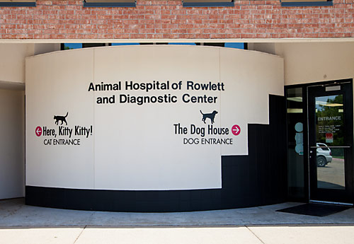 A special cats-only entrance at the front of the hospital